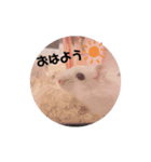 みぞれたんスタンプ（個別スタンプ：7）