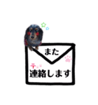 シエルくん2 by晩ママ（個別スタンプ：4）