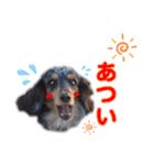 シエルくん2 by晩ママ（個別スタンプ：7）