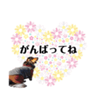 シエルくん2 by晩ママ（個別スタンプ：8）