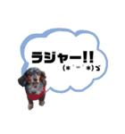 シエルくん2 by晩ママ（個別スタンプ：9）