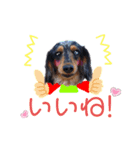 シエルくん2 by晩ママ（個別スタンプ：10）