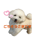 みー（白トイプ）の日常使いスタンプ（個別スタンプ：14）