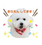 みー（白トイプ）の日常使いスタンプ（個別スタンプ：27）