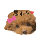 田中の可愛い暴言（個別スタンプ：2）