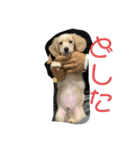 むぎはくの日常（個別スタンプ：4）