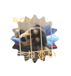 むぎはくの日常（個別スタンプ：5）