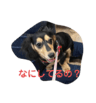むぎはくの日常（個別スタンプ：13）