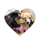むぎはくの日常（個別スタンプ：14）