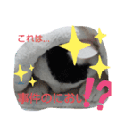 正宗の日常（個別スタンプ：7）