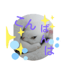 正宗の日常（個別スタンプ：12）