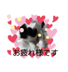 正宗の日常（個別スタンプ：13）