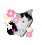 正宗の日常（個別スタンプ：16）