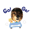 かのんの動物たち（個別スタンプ：6）