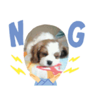 かのんの動物たち（個別スタンプ：8）