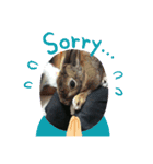 かのんの動物たち（個別スタンプ：11）