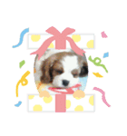 かのんの動物たち（個別スタンプ：18）