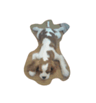 かのんの動物たち（個別スタンプ：19）