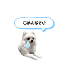 エルくんスタンプ③（個別スタンプ：6）