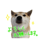 じんちゃんちのななちゃん。2（個別スタンプ：5）
