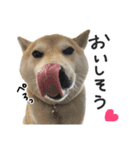 じんちゃんちのななちゃん。2（個別スタンプ：10）