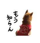 じんちゃんちのななちゃん。2（個別スタンプ：13）