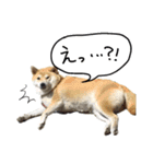 じんちゃんちのななちゃん。2（個別スタンプ：18）