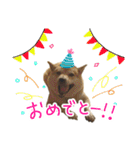 じんちゃんちのななちゃん。2（個別スタンプ：23）
