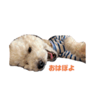 んゴぉ〜（個別スタンプ：9）