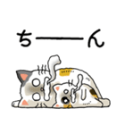 猫ねこパラダイス その1（個別スタンプ：19）