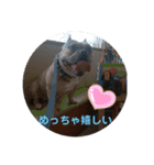 3BUHI 3兄弟（個別スタンプ：12）