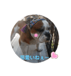 3BUHI 3兄弟（個別スタンプ：15）