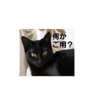 モモちゃん(雄)やさぐれ.ver（個別スタンプ：8）