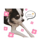 Louis君の生活（個別スタンプ：1）