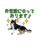 再び、ぼくらはハッピーな保護犬さ！（個別スタンプ：2）