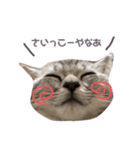 凪くんのまいにち（個別スタンプ：5）