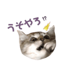 凪くんのまいにち（個別スタンプ：19）