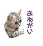 凪くんのまいにち（個別スタンプ：23）