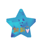 白い豆柴犬（個別スタンプ：1）