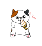 こんぺいとうねこ3（個別スタンプ：1）
