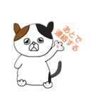 こんぺいとうねこ3（個別スタンプ：17）