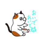 こんぺいとうねこ3（個別スタンプ：25）