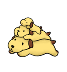 犬のまさおのスタンプ（個別スタンプ：19）