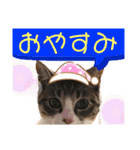 ラグちゃんと凛ちゃん（個別スタンプ：2）