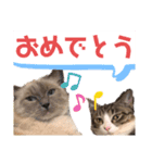 ラグちゃんと凛ちゃん（個別スタンプ：3）