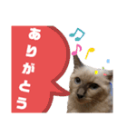 ラグちゃんと凛ちゃん（個別スタンプ：4）