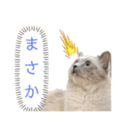 ラグちゃんと凛ちゃん（個別スタンプ：9）