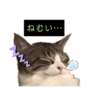ラグちゃんと凛ちゃん（個別スタンプ：16）