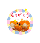 シマ鳥さんちの鳥等2（個別スタンプ：1）