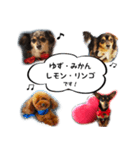 ゆず/みかん/レモン/りんごのスタンプ（個別スタンプ：2）
